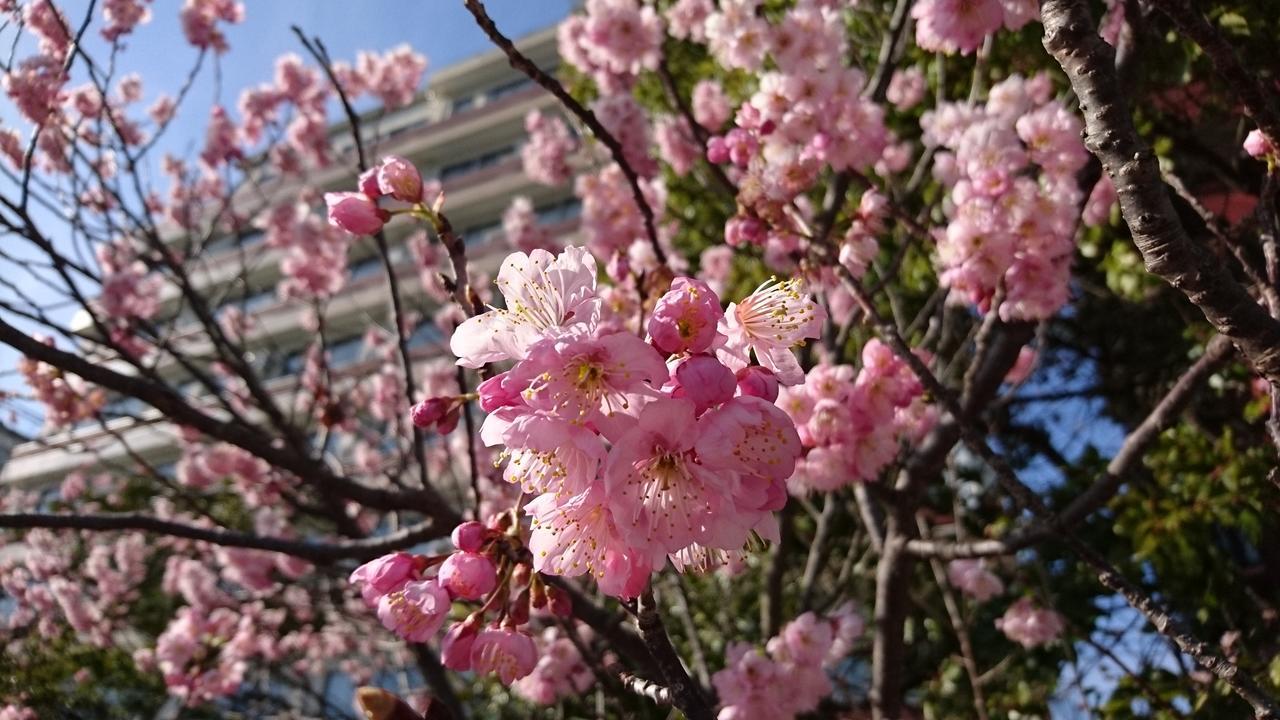 Shoei Daini Bekkan Kochi (Shikoku) Exterior foto
