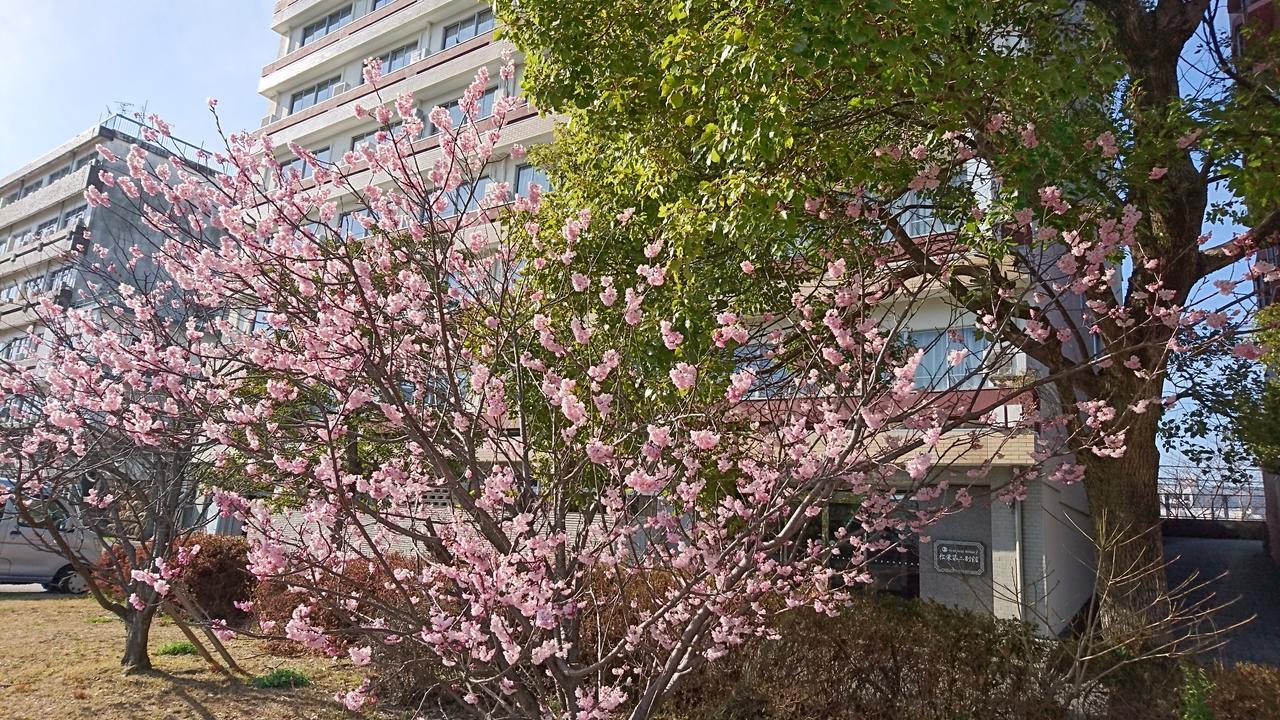Shoei Daini Bekkan Kochi (Shikoku) Exterior foto